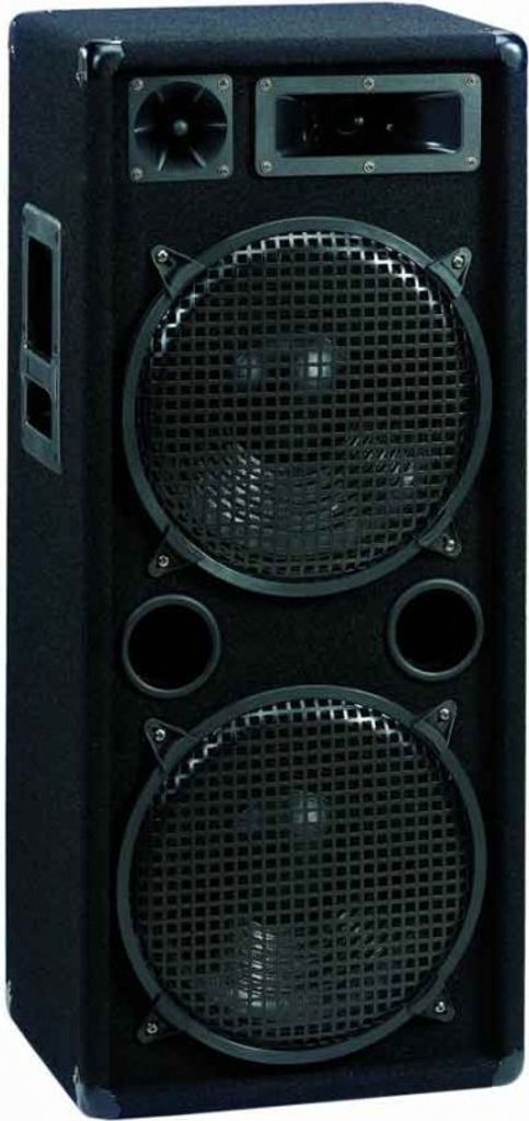 A black speaker cabinet with two large woofers and a horn tweeter.