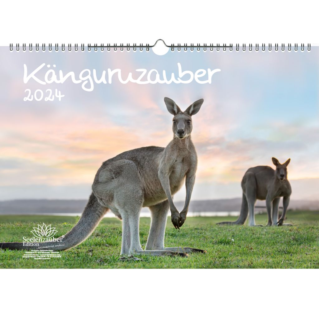 Känguruzauber DIN A3 Kalender für 2024  Kaufland.de