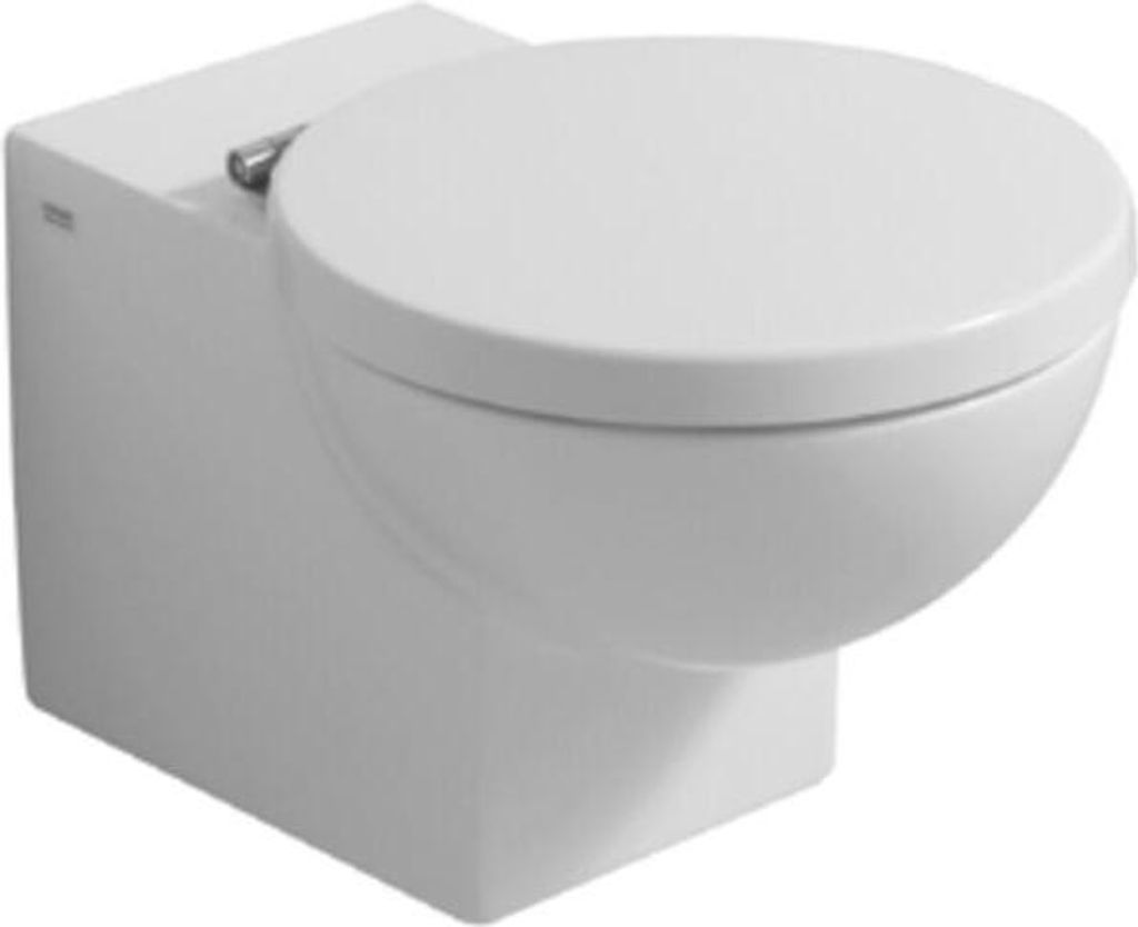 A white wall-mounted toilet with the lid closed, shown from a three-quarter angle against a white background.