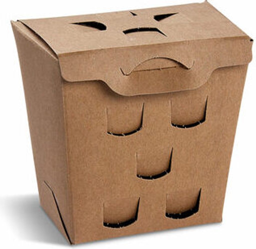 250x BIONATURE Pommes Fritesboxen kraft braun 11 x 11 x 7,3cm Fettbarriere