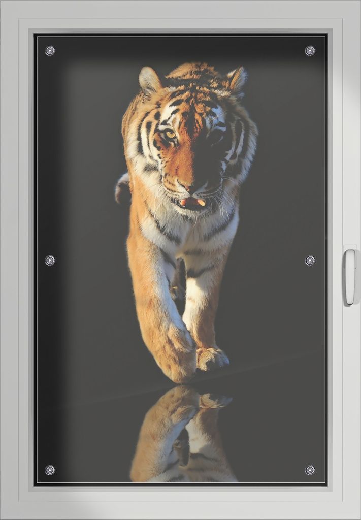 Wallario Lichtschutzbild, Dekorativer Sichtschutz Sonnenschutz 60 x 93 cm mit Motiv: Laufender Tiger - Verdunklung ohne Bohren