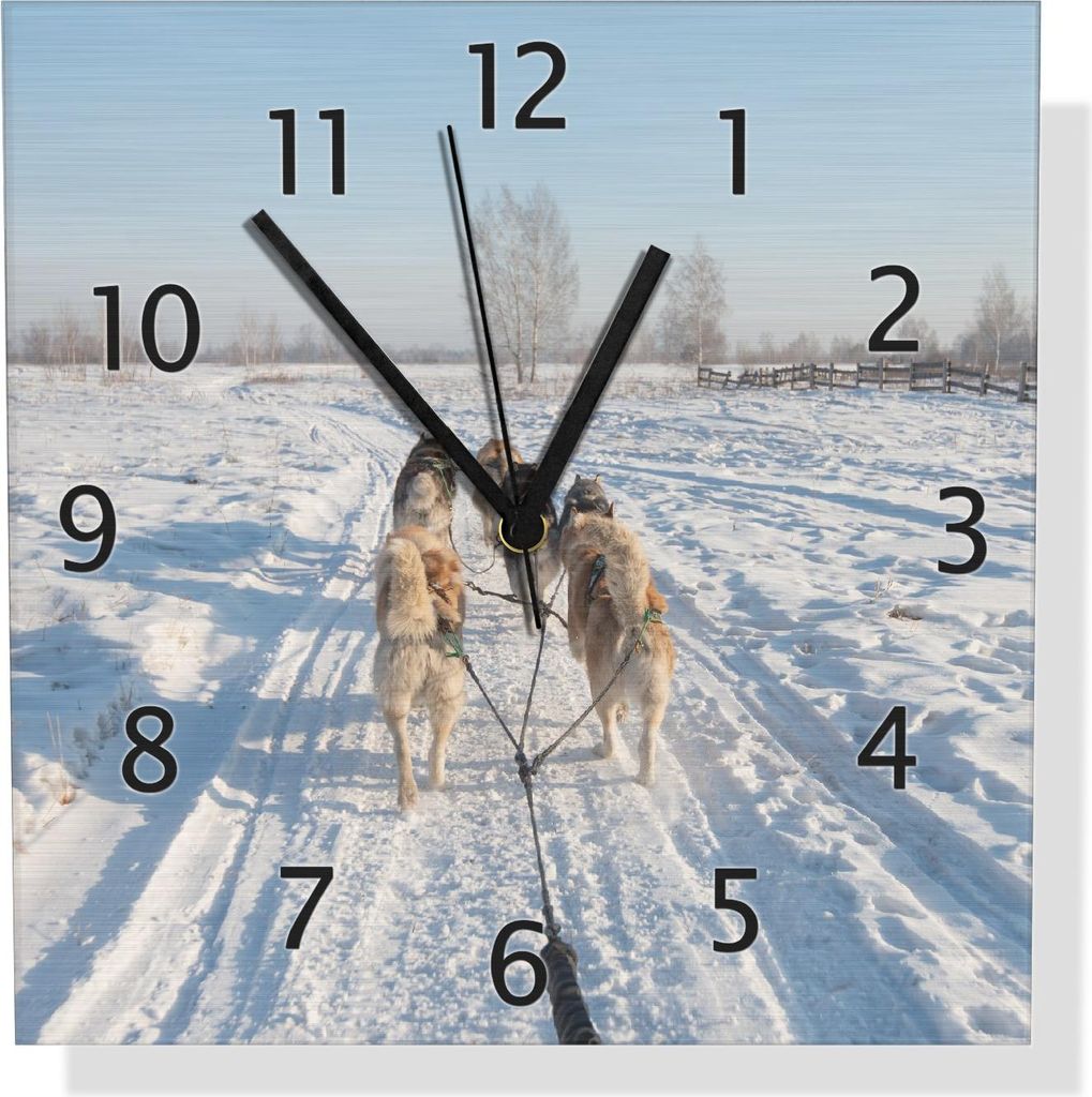 Wallario Design Wanduhr Hundeschlitten im Schnee aus Aluverbund, Größe 30 x 30 cm