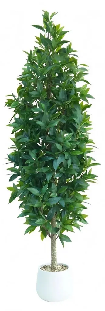 Plante Artificielle Laurier pour Salon - Grand Format 150 cm en Pot