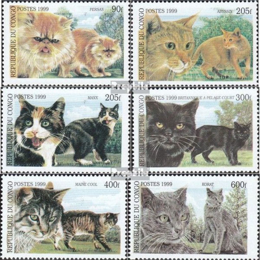 Briefmarken Kongo (Brazzaville) 1999 Mi 1677-1682 (kompl.Ausg.) postfrisch Katzenrassen