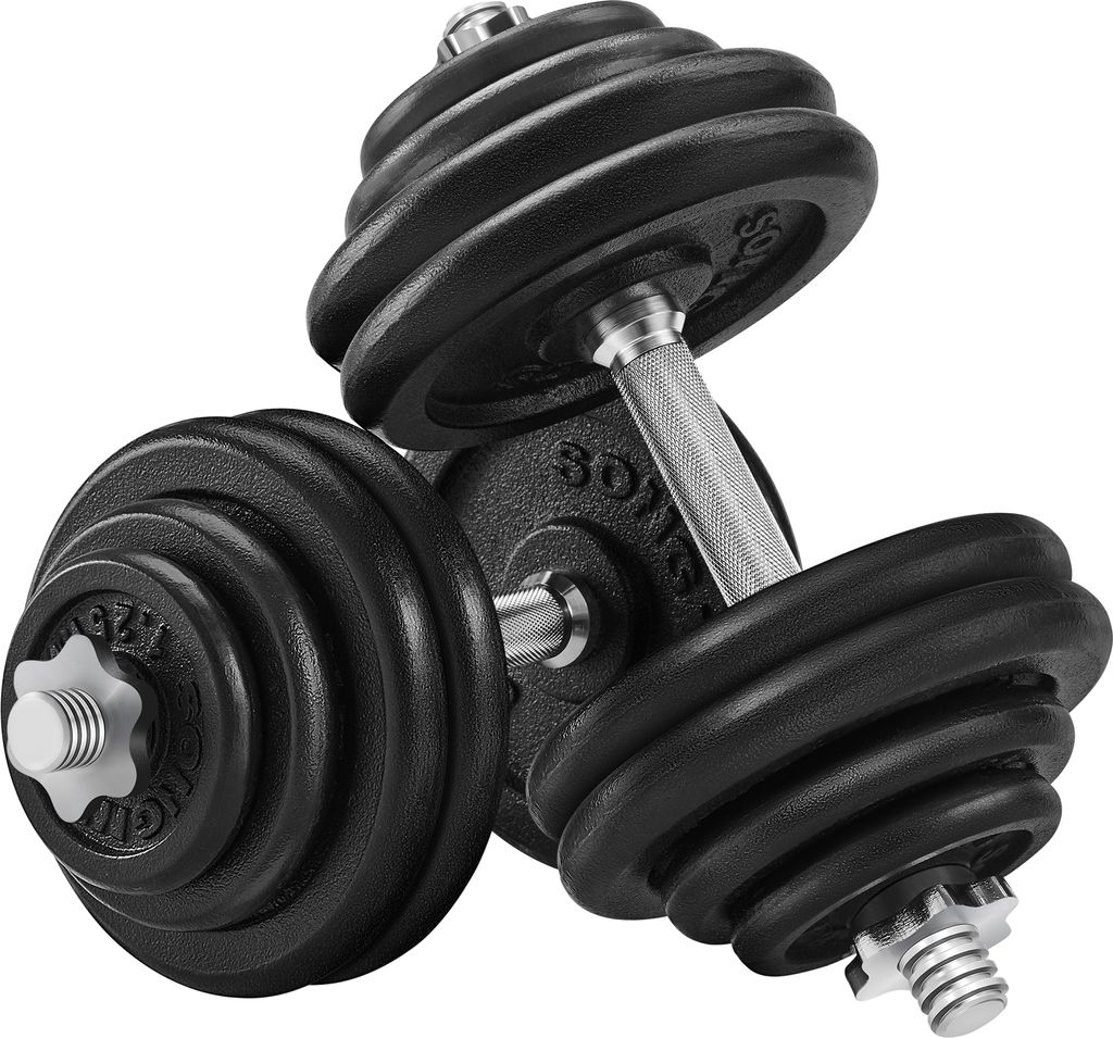 SONGMICS Hanteln, Hantelset aus Gusseisen, 60 kg, verstellbar, für Männer und Frauen, Workout, Fitnesstraining, Gewichtheben für Zuhause, Fitnes...