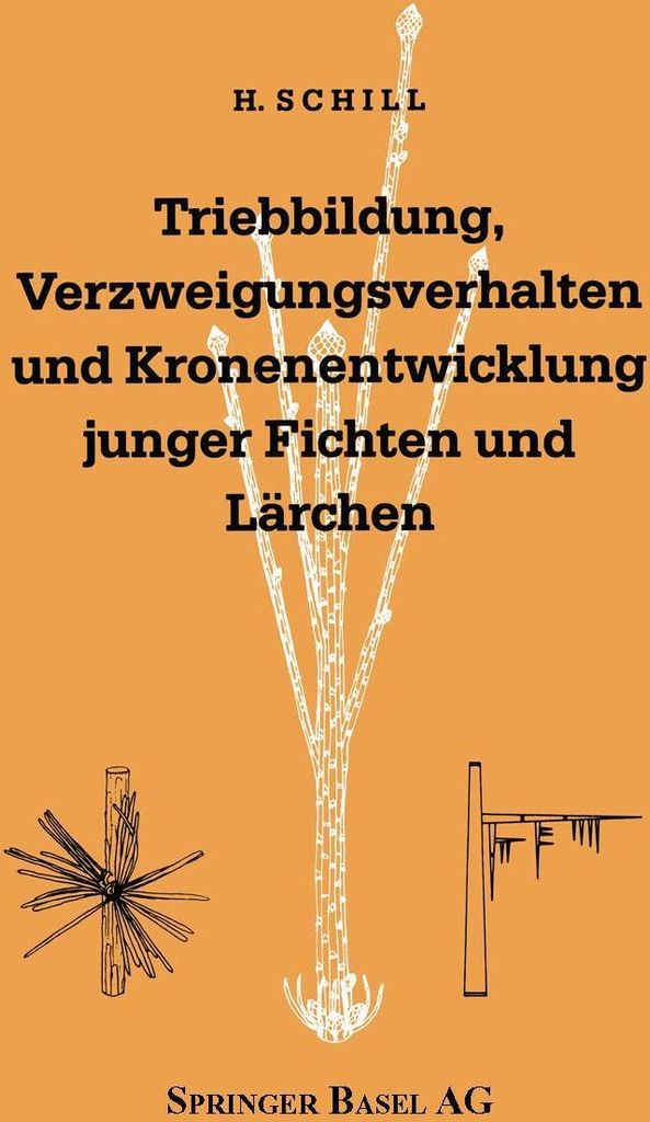 Triebbildung, Verzweigungsverhalten und Kronenentwicklung junger Fichten und Lärchen