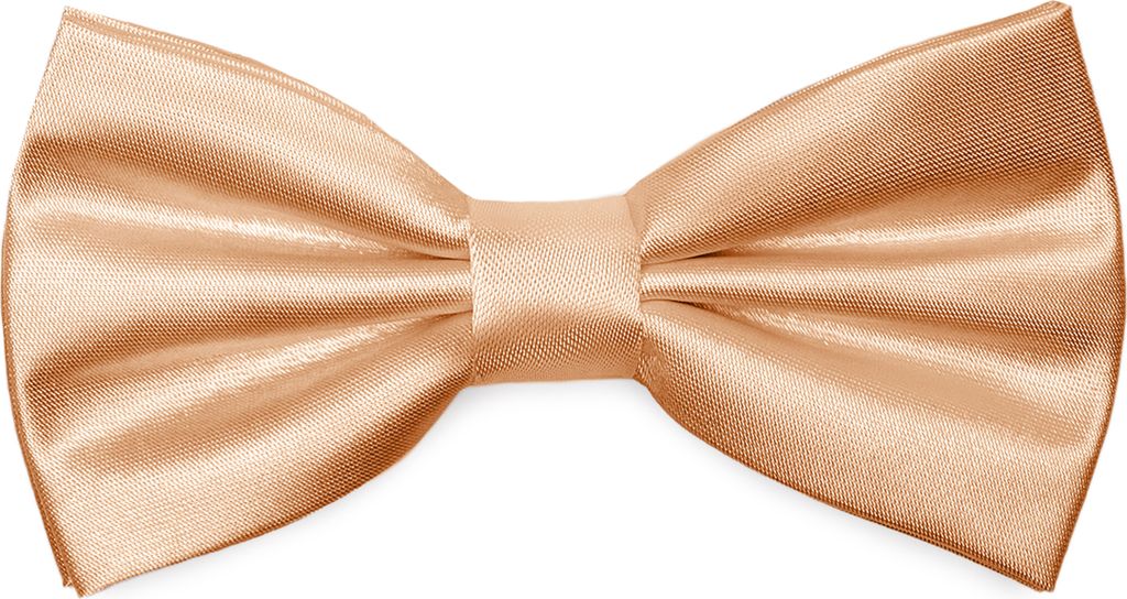 Ladeheid Elegante Herren Fliege -Hochwertig Glänzend Verstellbar BMS (12cmx6cm)