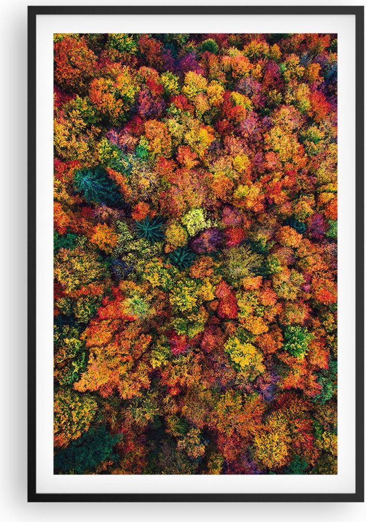 Gerahmtes Poster - Schwarzer Rahmen - Herbst Perspektive Vogel - 61x91,5 cm - Wand Bild - Wanddeko - Wandbilder - Kunstposter - Wandposter - Bilder...