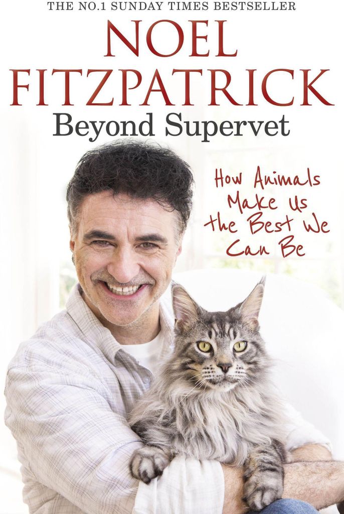 Jenseits von Supervet: Wie Tiere uns zu den Besten machen, die wir sein können