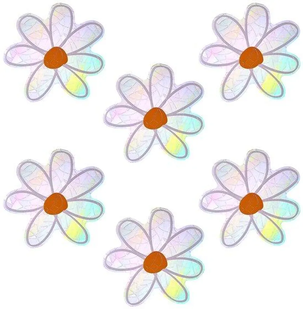 Protection oiseaux non adhésive fleurs arc-en-ciel pour vitre x6