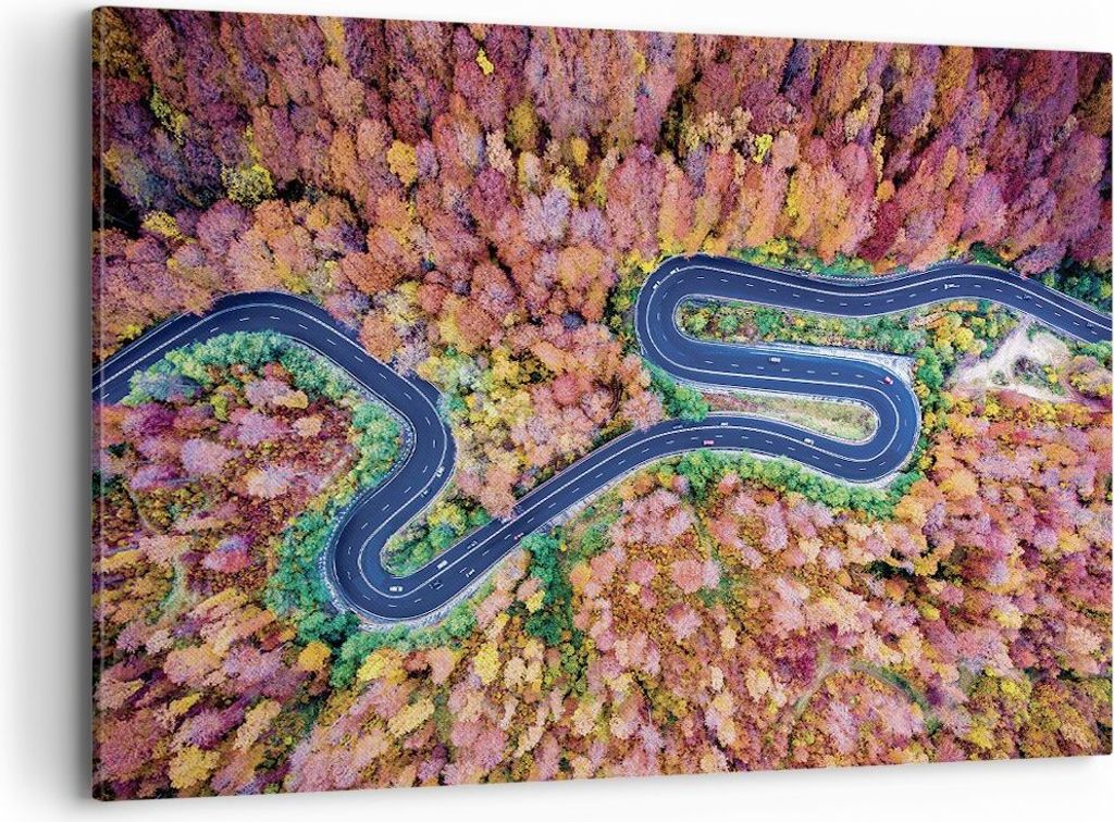 Bild auf Leinwand - Leinwandbild - Einteilig - Kurvenreich Weg Wald - 120x80cm - Wand Bild - Wanddeko - Wandbilder - Leinwanddruck - Bilder - Wandd...