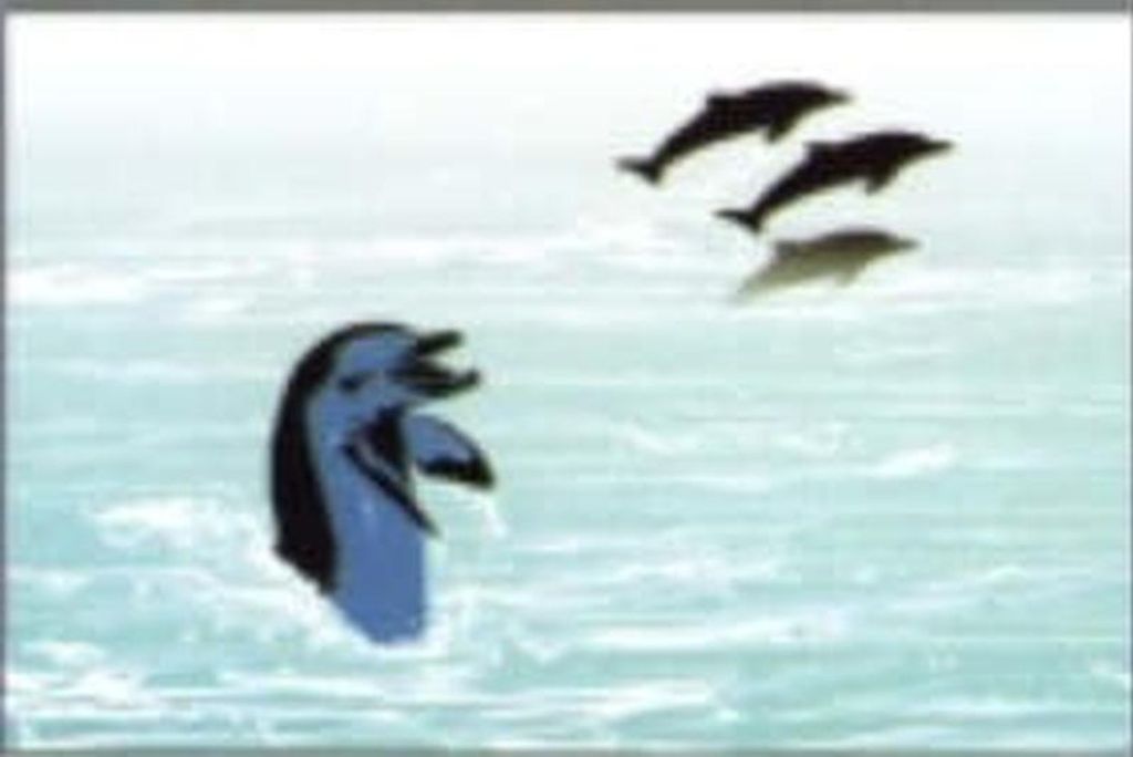 Schablone Spielende Delphine 262 591