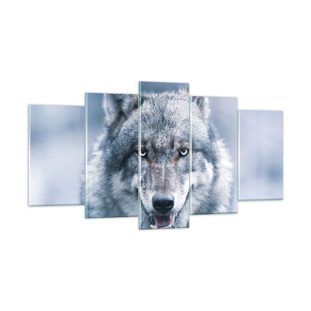 Bilder auf glas - 5 Teile - Wolf Raubtier Wildheit - 160x85cm - Glasbilder - Wandbilder - Bilder - zum Aufhängen bereit - Wanddekoration aus Glas ...