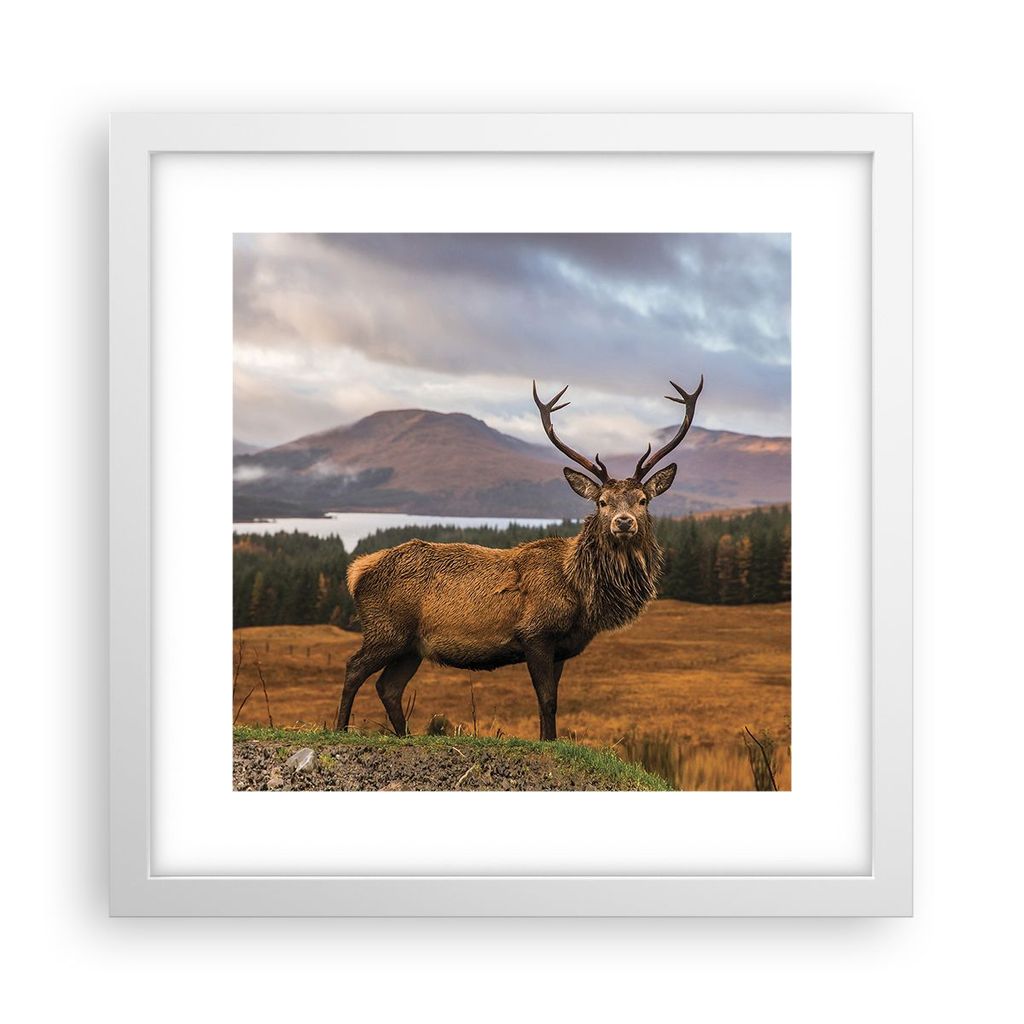 Gerahmtes Poster - Weißer Rahmen - Rehe Wiese Berge - 30x30 cm - Wand Bild - Wanddeko - Wandbilder - Kunstposter - Wandposter - Bilderrahmen - Bil...
