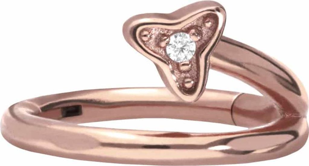 Ohrpiercing, Nasenpiercing, Septum Piercing Chirurgenstahl Segmentring Clicker KRISTALLBLATT RoséGold Innendurchmesser: 8 mm