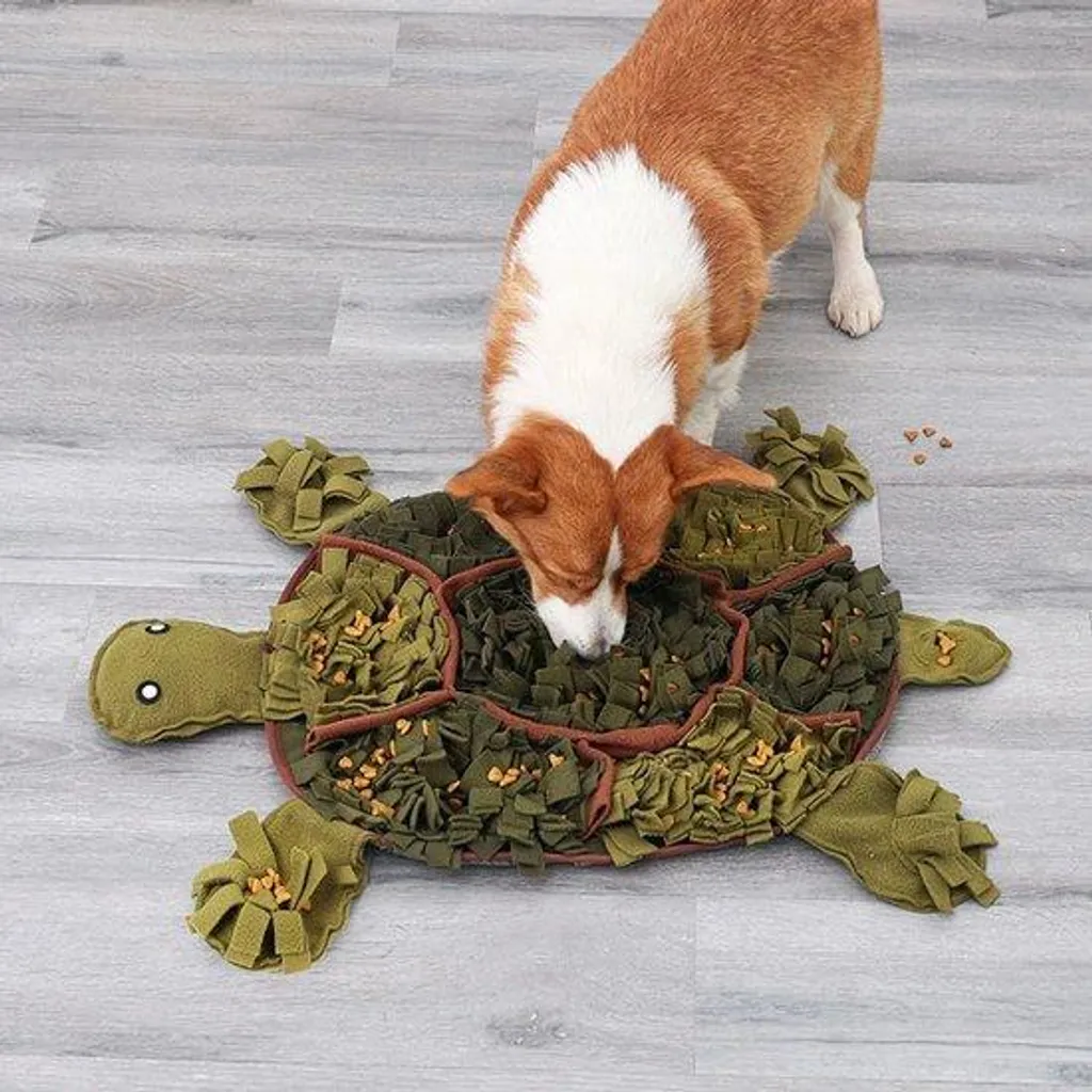 Solution anti-ennui : jouet interactif chien puzzle tortue durable