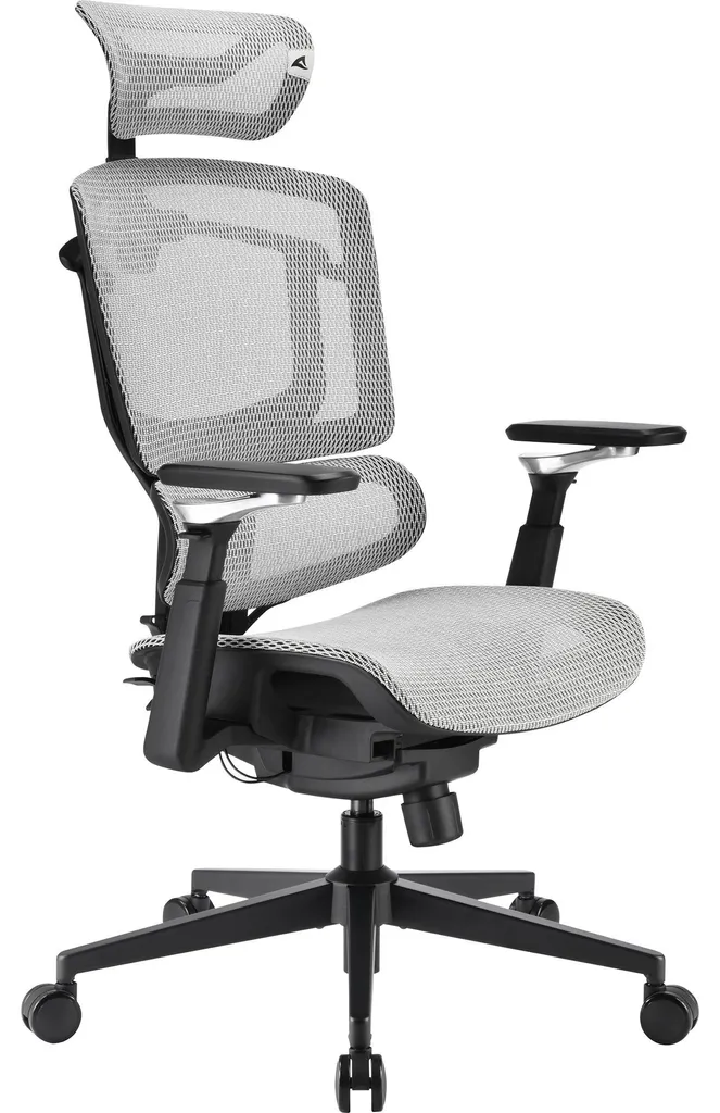 Sharkoon OfficePal C50M Gris - Chaise de bureau ergonomique performante