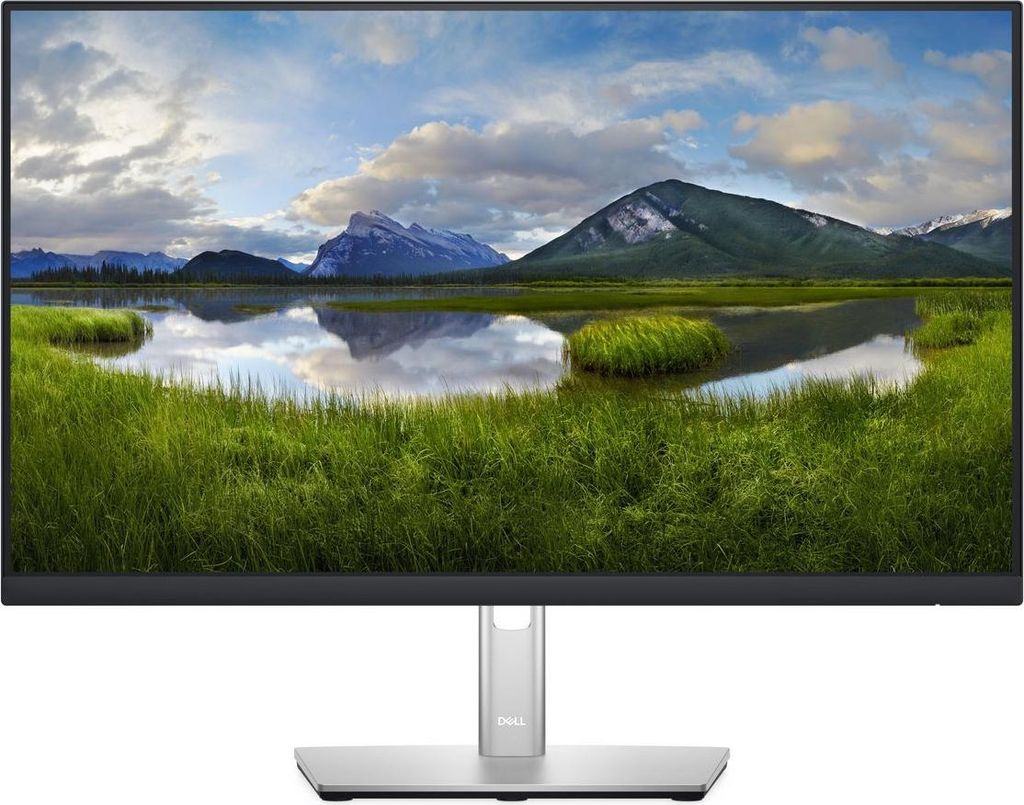 DELL P Series P2422H Led Display