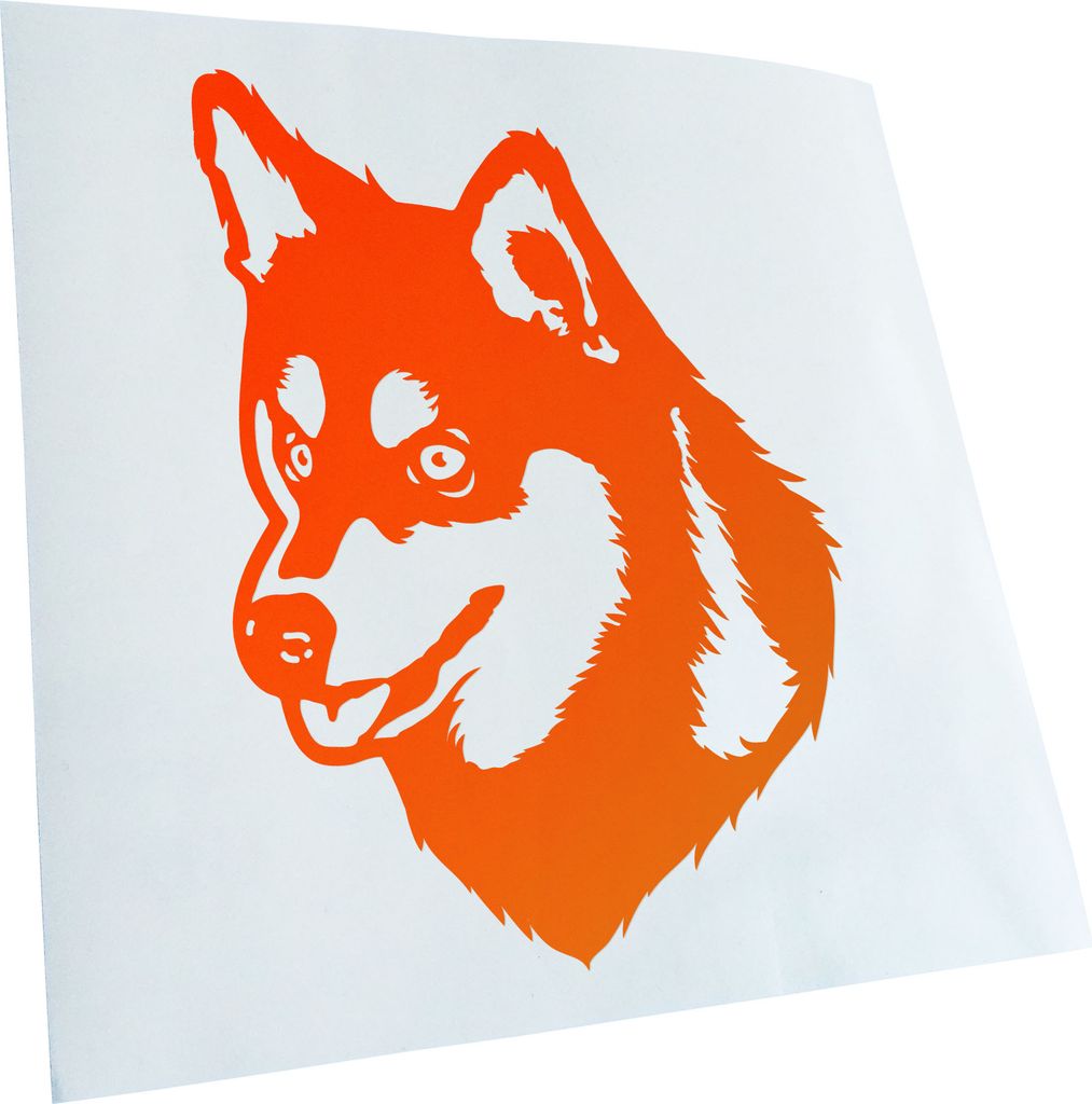 Kiwistar - Autoaufkleber - Alaskan Klee Kai Hund - Neonorange - 50x36cm - Aufkleber für Auto, Laptop, Fahrrad, LKW, Motorrad mehrfarbig JDM Decal ...