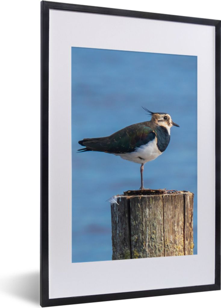 MuchoWow® Gerahmtes Poster Vogel - Tiere - Pfahl - Blau - Produktbild 
