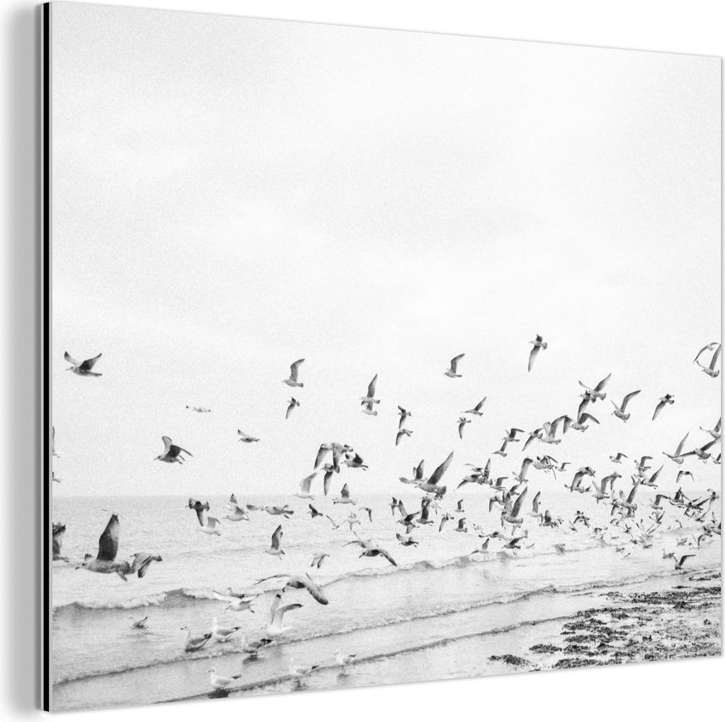 MuchoWow Wanddekoration Metall Metallbild Wandkunst 80x60 cm Meer - Vögel - Natur - Möwen MuchoWow Aluminium Gemälde - Alubild