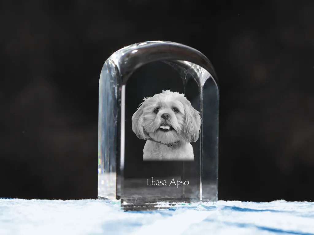 Cube cristal 3D Lhasa Apso : Gravure laser haute précision Art-Dog - 2