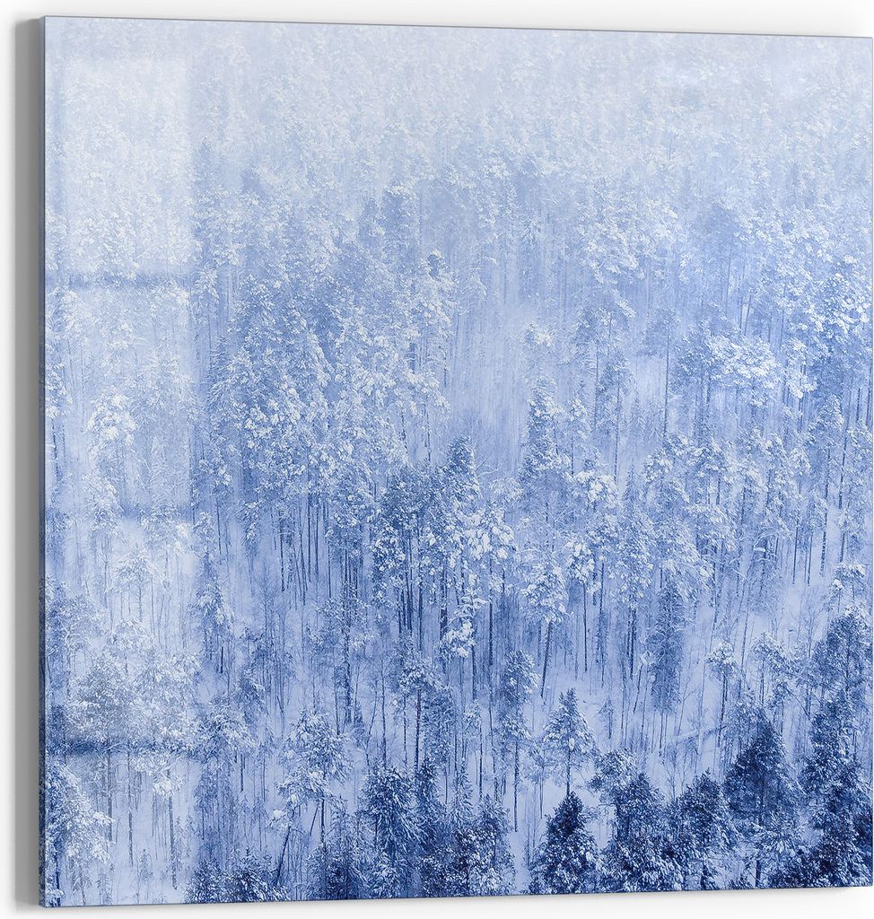 DEQORI Magnettafel Glas 30x30 cm 'Winterwald in Weiß' beschreibbar Whiteboard Küche