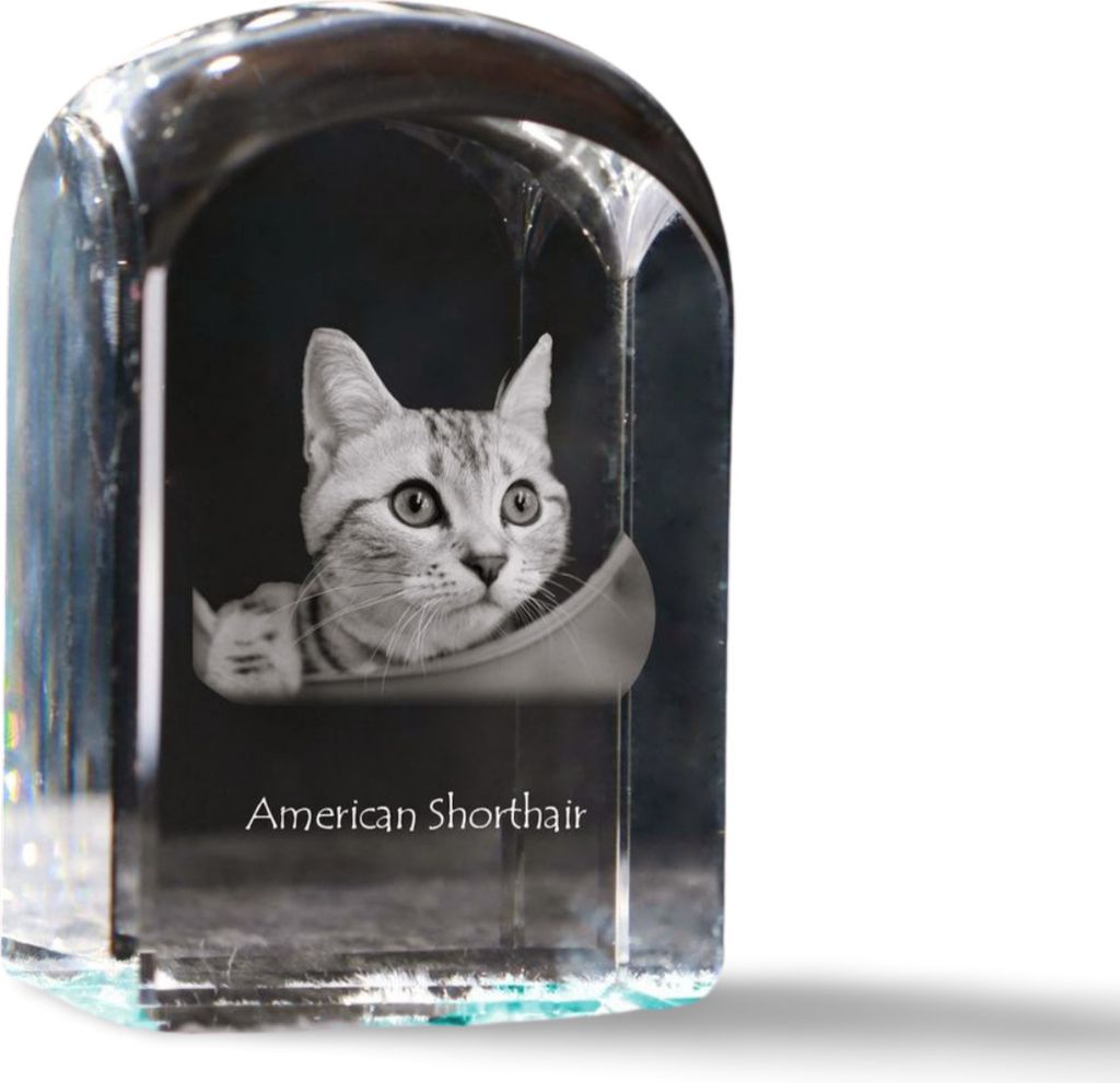 Amerikanisch Kurzhaar - Kristallwürfel mit Bild, Katzenbild im Kristall, sechseckiger Papierclip von der Marke Art-Dog