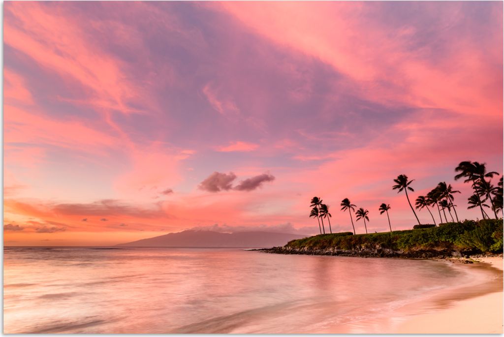 MuchoWow Poster Strand - Palme - Rosa 180x120 cm - Fotoplakat