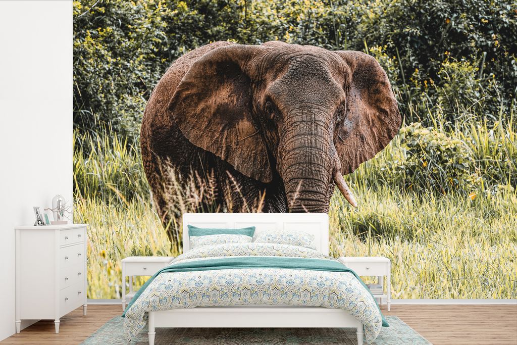 MuchoWow Fototapete für Wohnzimmer oder Schlafzimmer Wandtapete Vinyl Motivtapete Elefant - Natur - Gras - 330x220 cm - Fototapeten