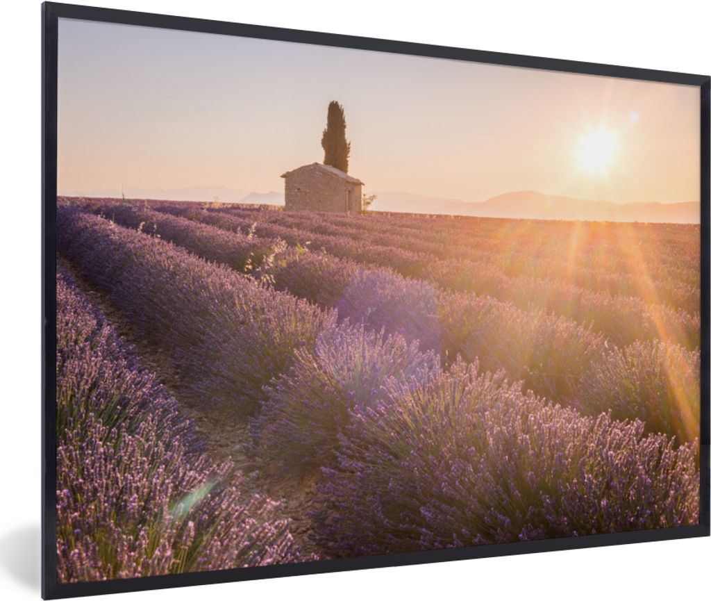 MuchoWow MuchoWow Gerahmtes Poster Sonnenaufgang über einem Lavendelfeld 60x40 cm - Poster mit zchwarzem Bilderrahmen - Printing - Wanddeko Sc...