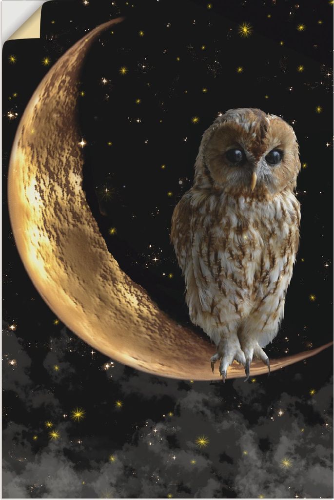 ARTland Wandbild, selbstklebend Nachteule Größe: 80x120 cm