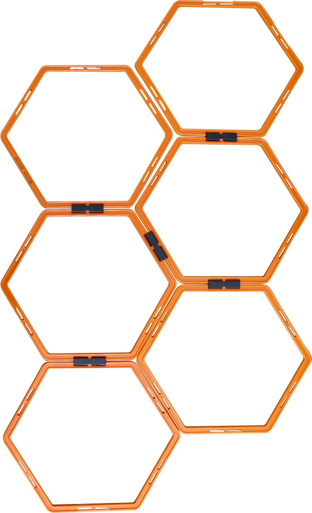 Agility-Trainingsleiter MASTER Hexa