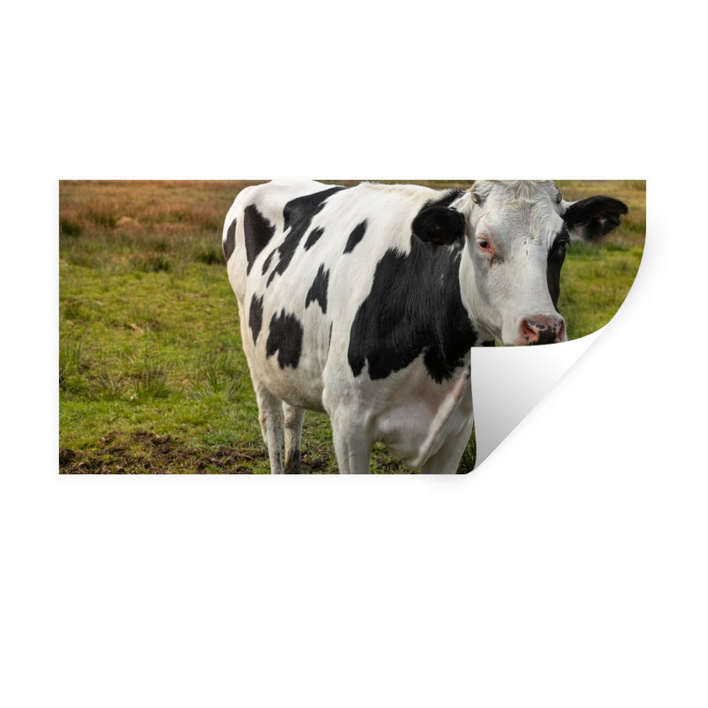 MuchoWow Wandtattoo Wandsticker Wandaufkleber Kuh - Porträt - Friesisch 120x60 cm Selbstklebend und Repositionierbar - Sticker - Dekorfolie