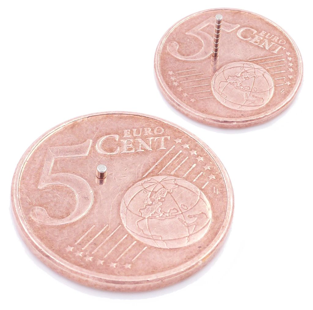 Brudazon | 20 Scheibenmagnete 1x1 mm | N52 Klasse Neodym Magnete | Modellbau