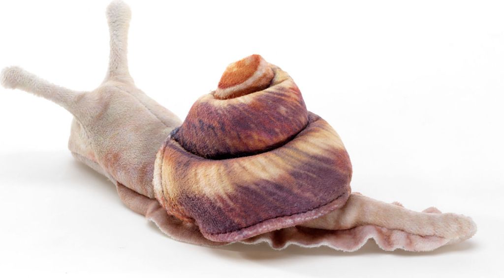 A plush toy snail is shown from a side angle against a white background.