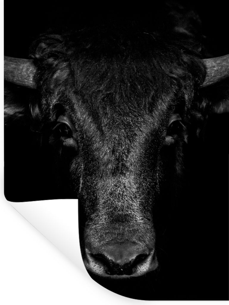MuchoWow Wandtattoo Wandsticker Wandaufkleber Taurus - Tiere - Schwarz - Weiß 120x160 cm Selbstklebend und Repositionierbar - Wierderverwendbar ...
