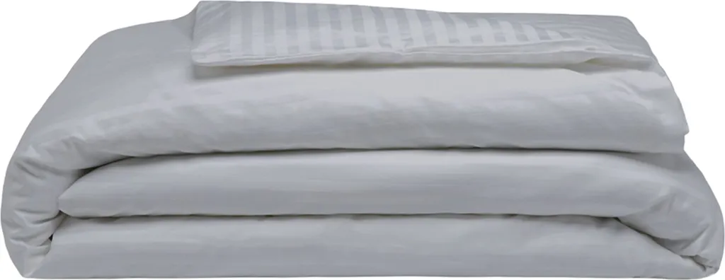 Parure de Lit Satin Doux 540 Fils Platine pour Sommeil Réparateur 2P