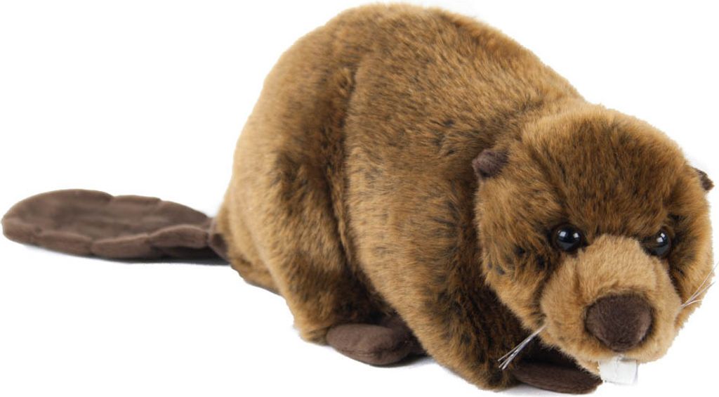 A plush toy beaver is shown against a white background.
