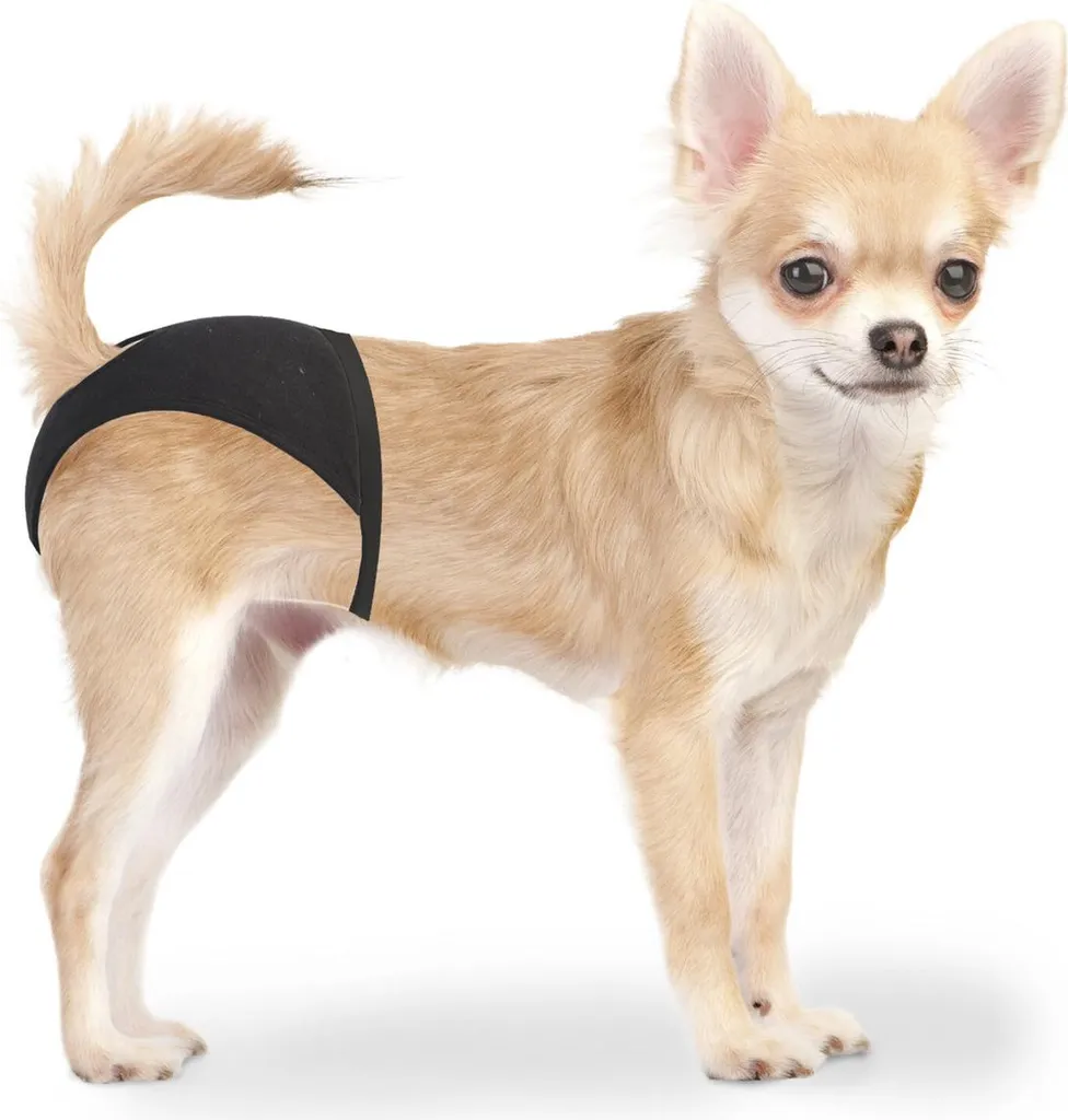 Duvo+ Play Panties XS 18-23cm Mutandine Igieniche Cane con 3 Inserti