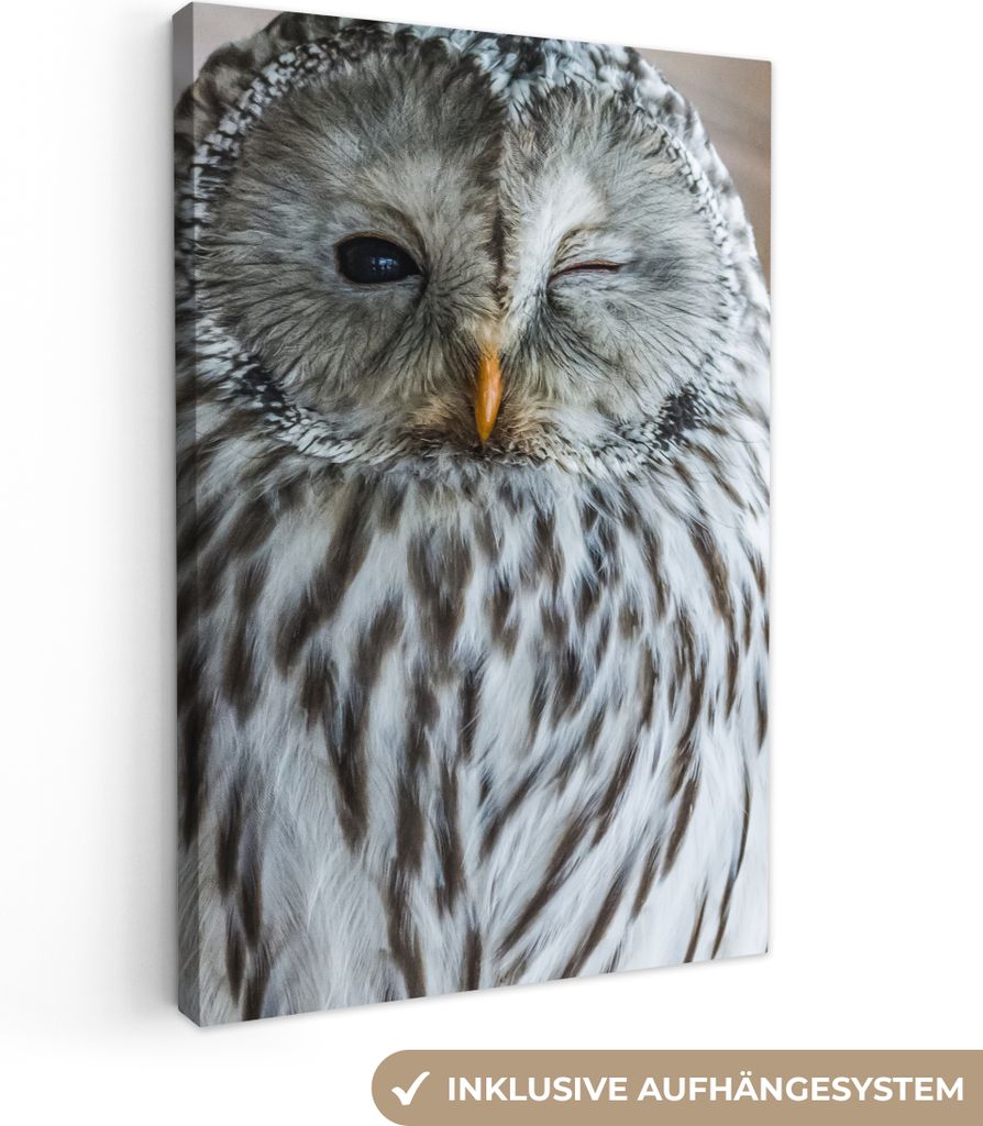 OneMillionCanvasses - Leinwandbilder - 90x140 cm, Eule - Federn - Porträt, Wandbilder Kunstdruck Wanddekoration - Wandschmucke - Schlafzimmer