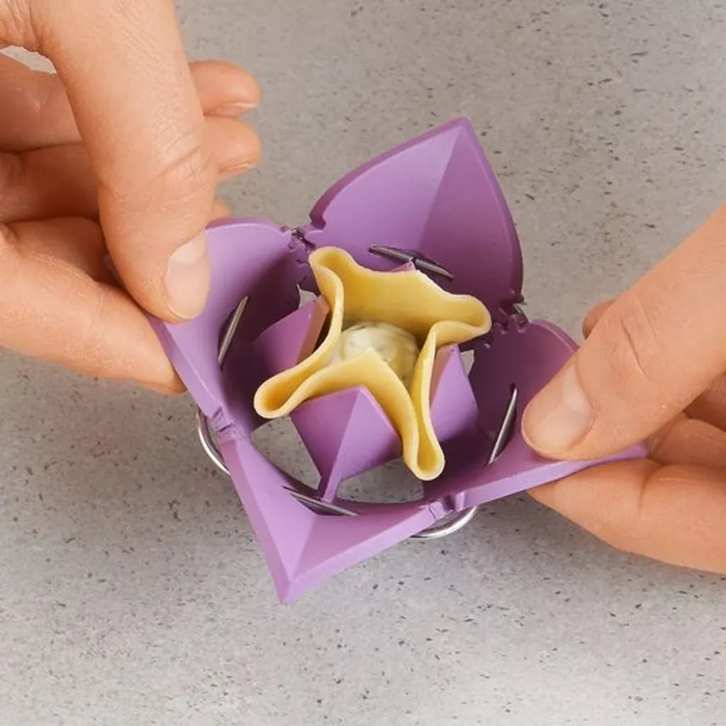 Dumpling Maker pour cuisiner des raviolis maison facilement - 2 moules