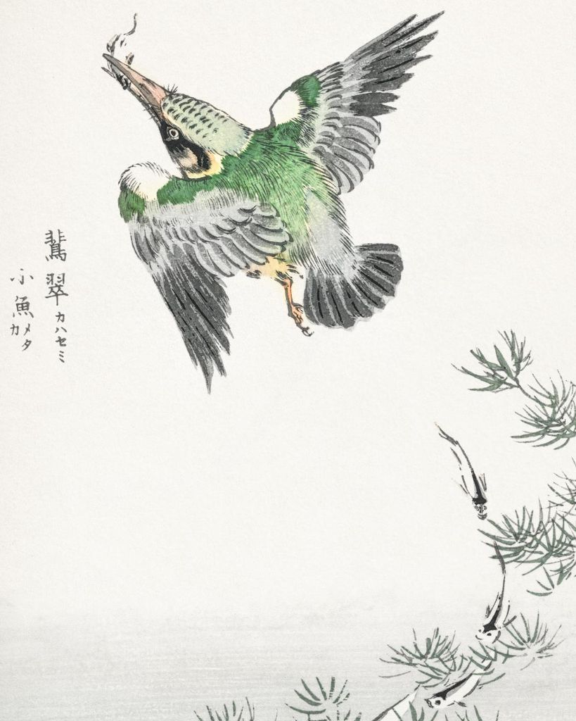 Plakat 40x50cm Gemeiner Eisvogel, Japanischer Kashu Vintage