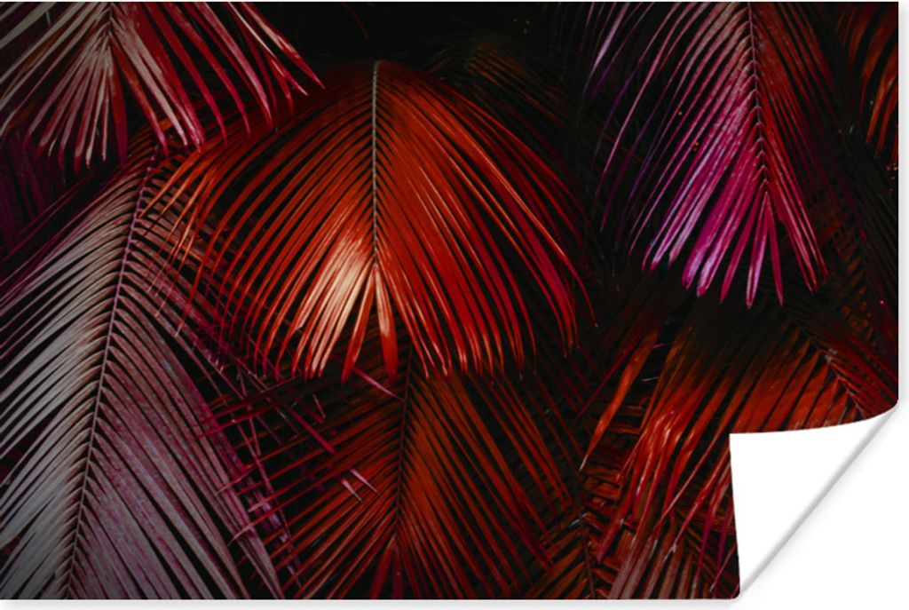 MuchoWow Poster Palmenblatt - Dschungel - Rot 30x20 cm - Plakate - Print