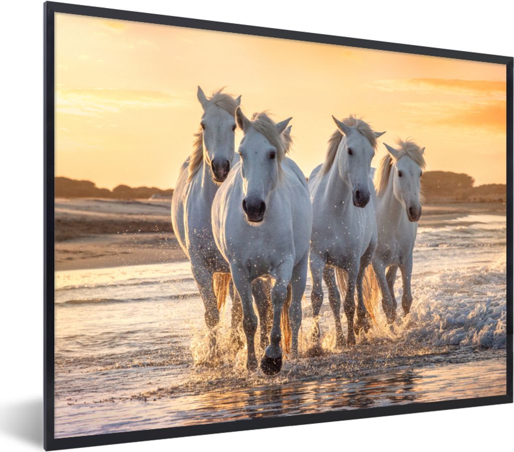 MuchoWow Gerahmtes Poster Pferde - Wasser - Strand - Tiere 40x30 cm - Poster mit Schwarzem Bilderrahmen Wandposter Rahmen Foto Bilder - Kunstpost...