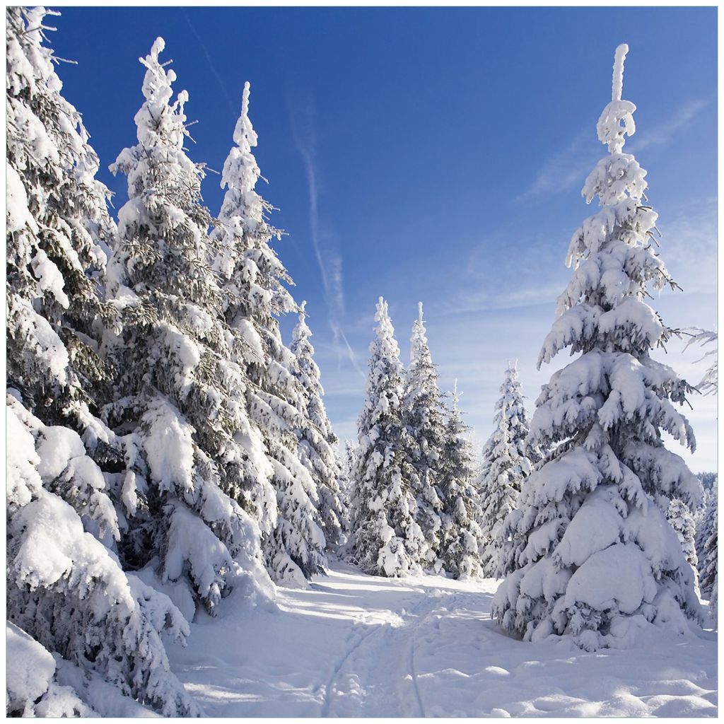 Wallario Magnet für Kühlschrank / Geschirrspüler, magnetisch haftende Folie - 60 x 60 cm, Motiv: Wanderweg im Schnee