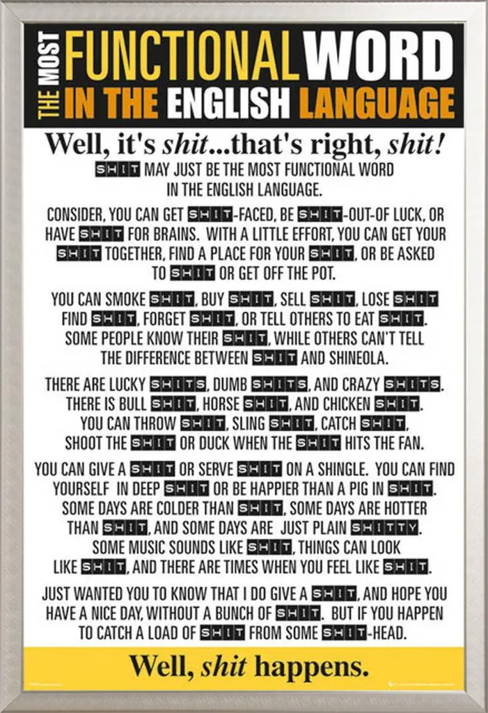 Quadro Motivazionale Merda Shinsuke Maxi Cornice Alluminio Argento