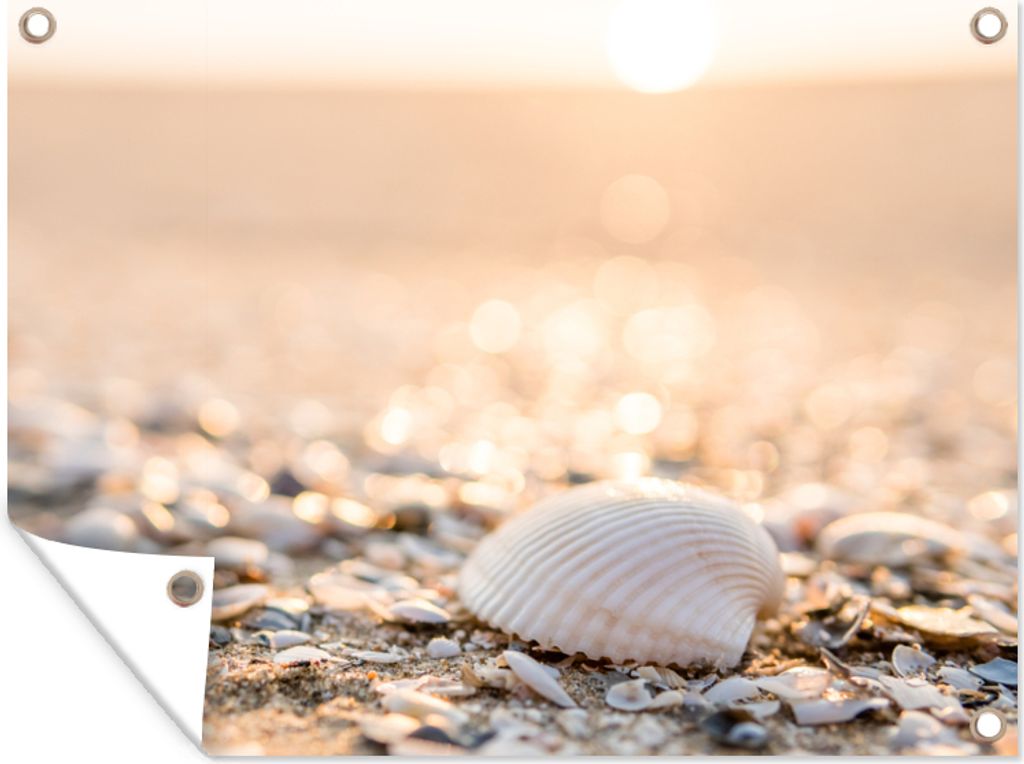 MuchoWow 40x30 cm Outdoor-Poster Gartendeko Sichtschutz Garten Poster für den Garten Muscheln - Weiß - Strand - Sommer