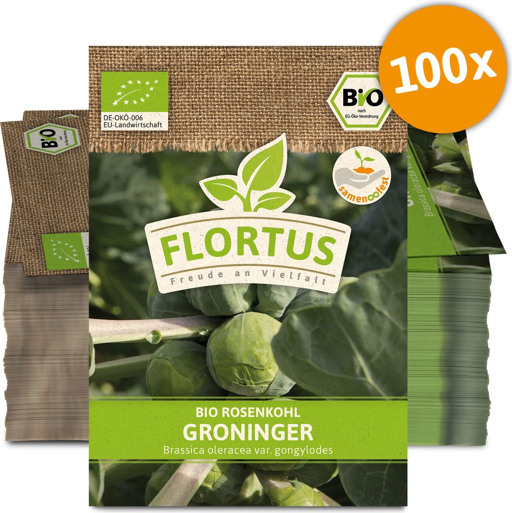 Rosenkohl Groninger (100 Stück) | Kohlsamen von FLORTUS
