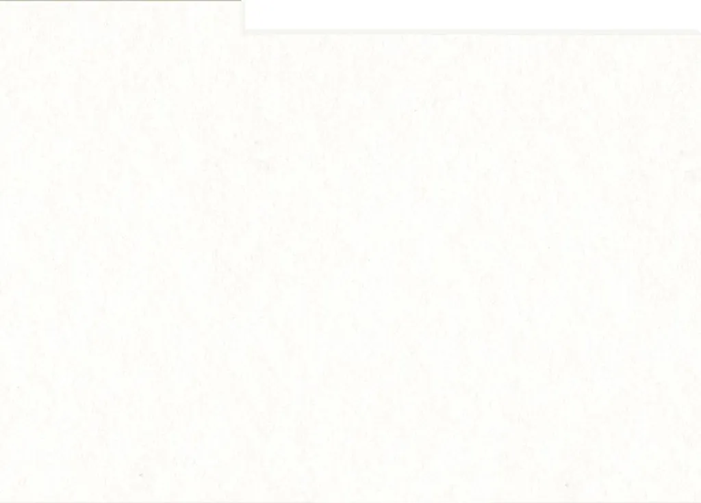 HNFD 12 Cartes Intercalaires Fotobox 13x18 cm Bianco Naturale Premium